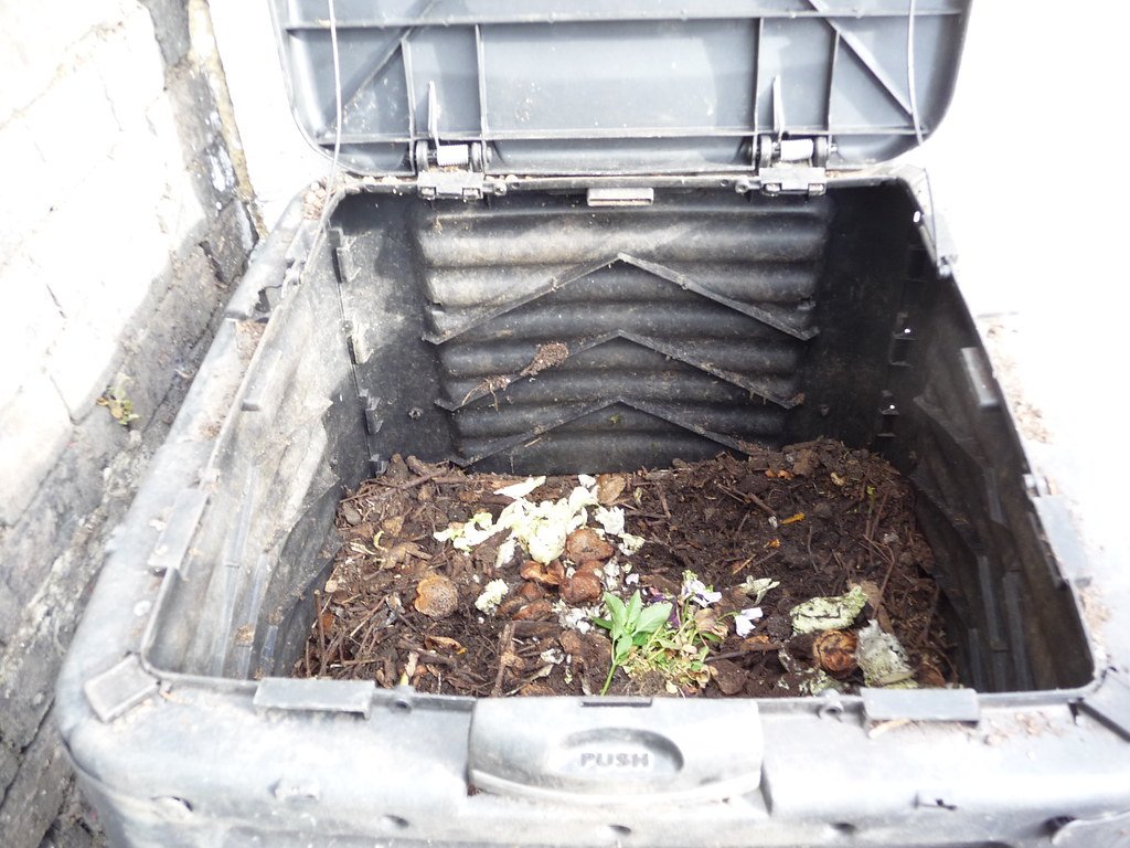 Composting, succulent fertilizer