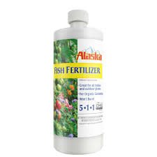 Fish fertilizer for succulents