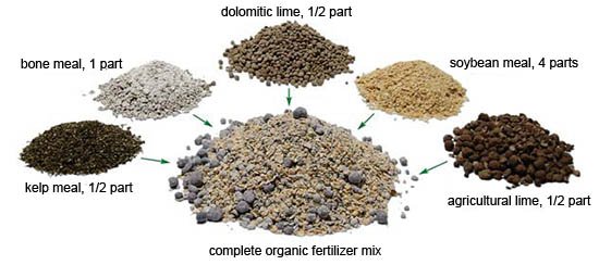 organic fertilizers for succulents