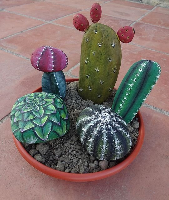 Rock cactus