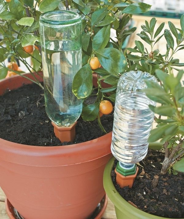 watering plants during vacation