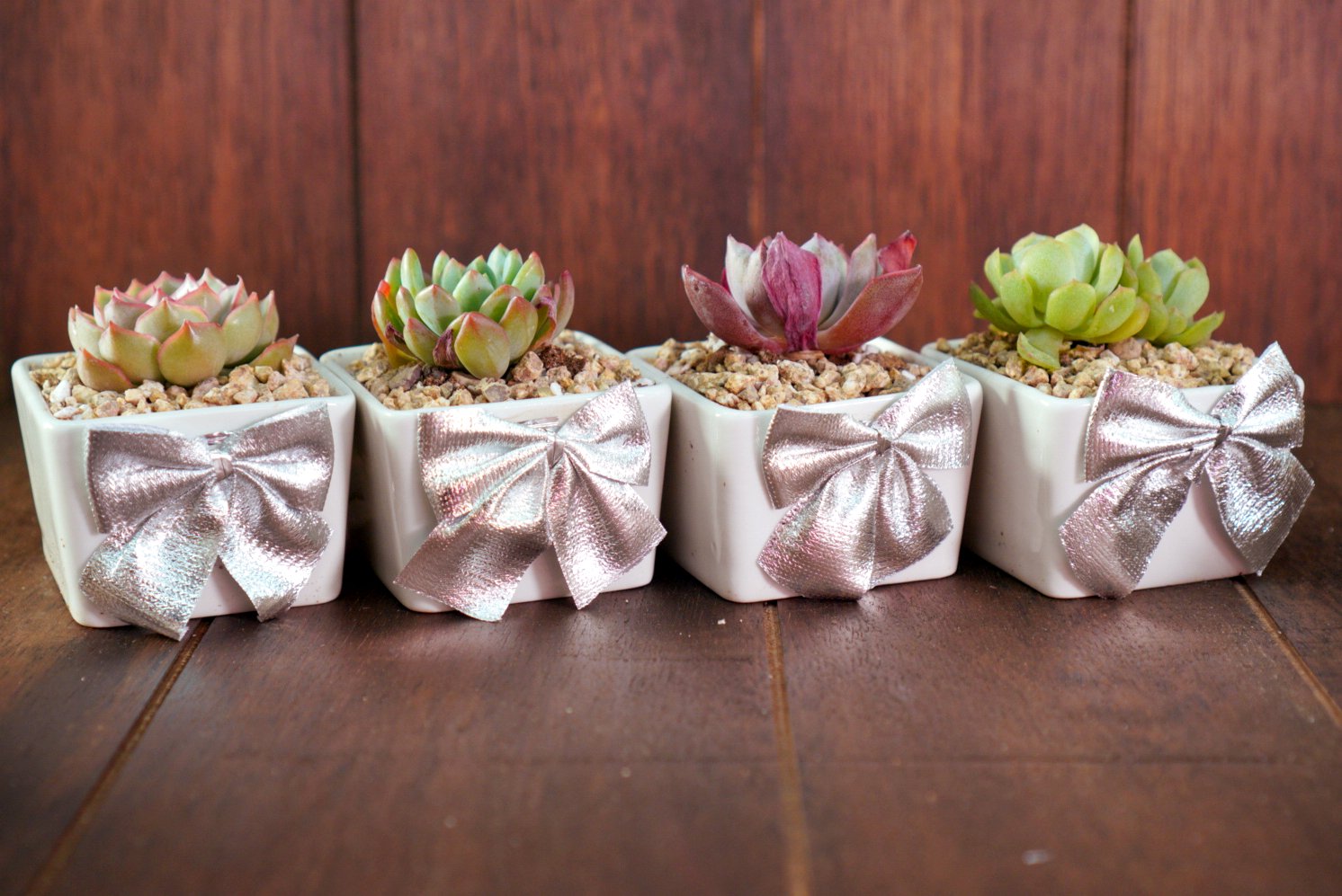 DIY Succulents Office Gifts