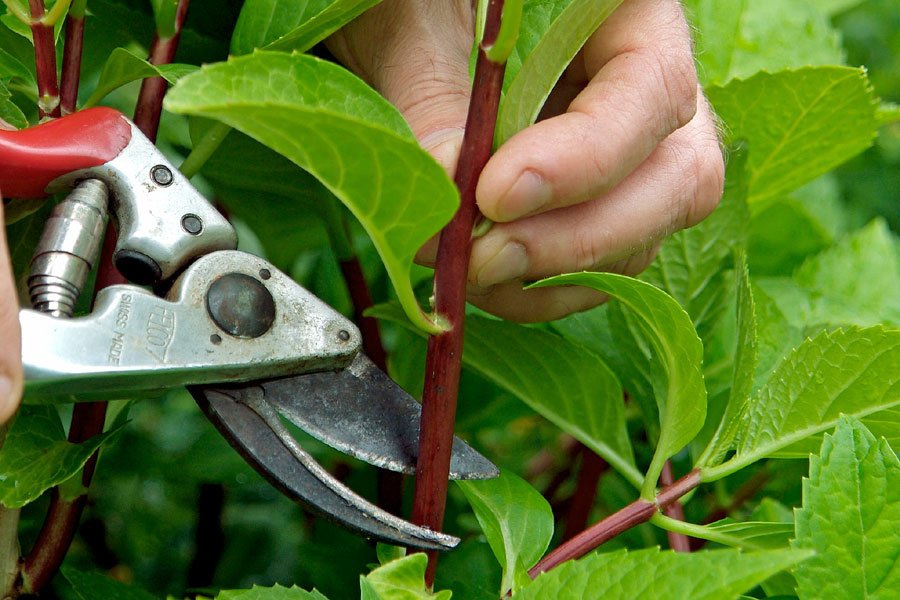 Propagation