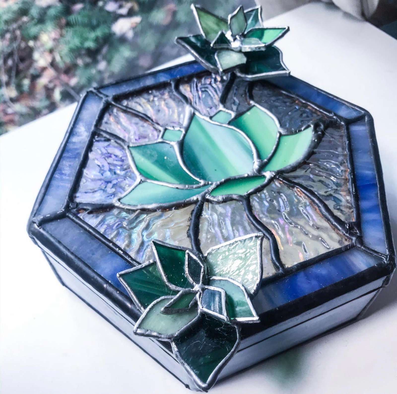 Aesthetic Succulent Gift Box