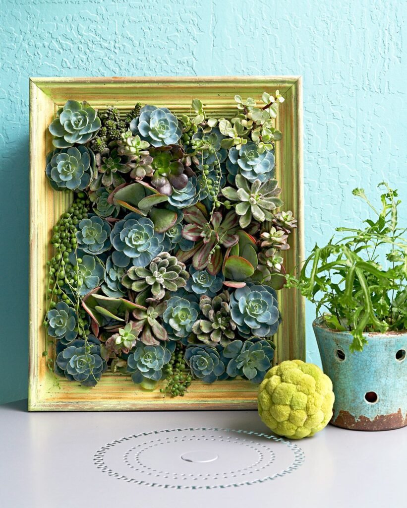 Framed Living Art