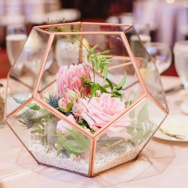 Succulents in Terrarium