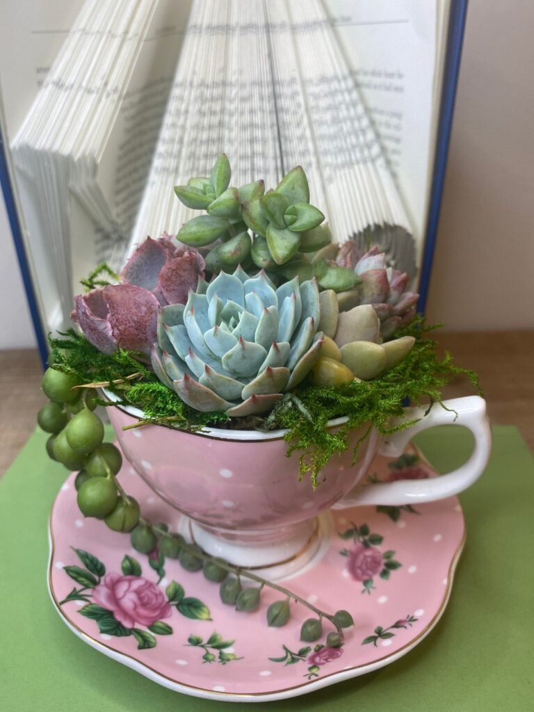 Succulents in vintage teacups