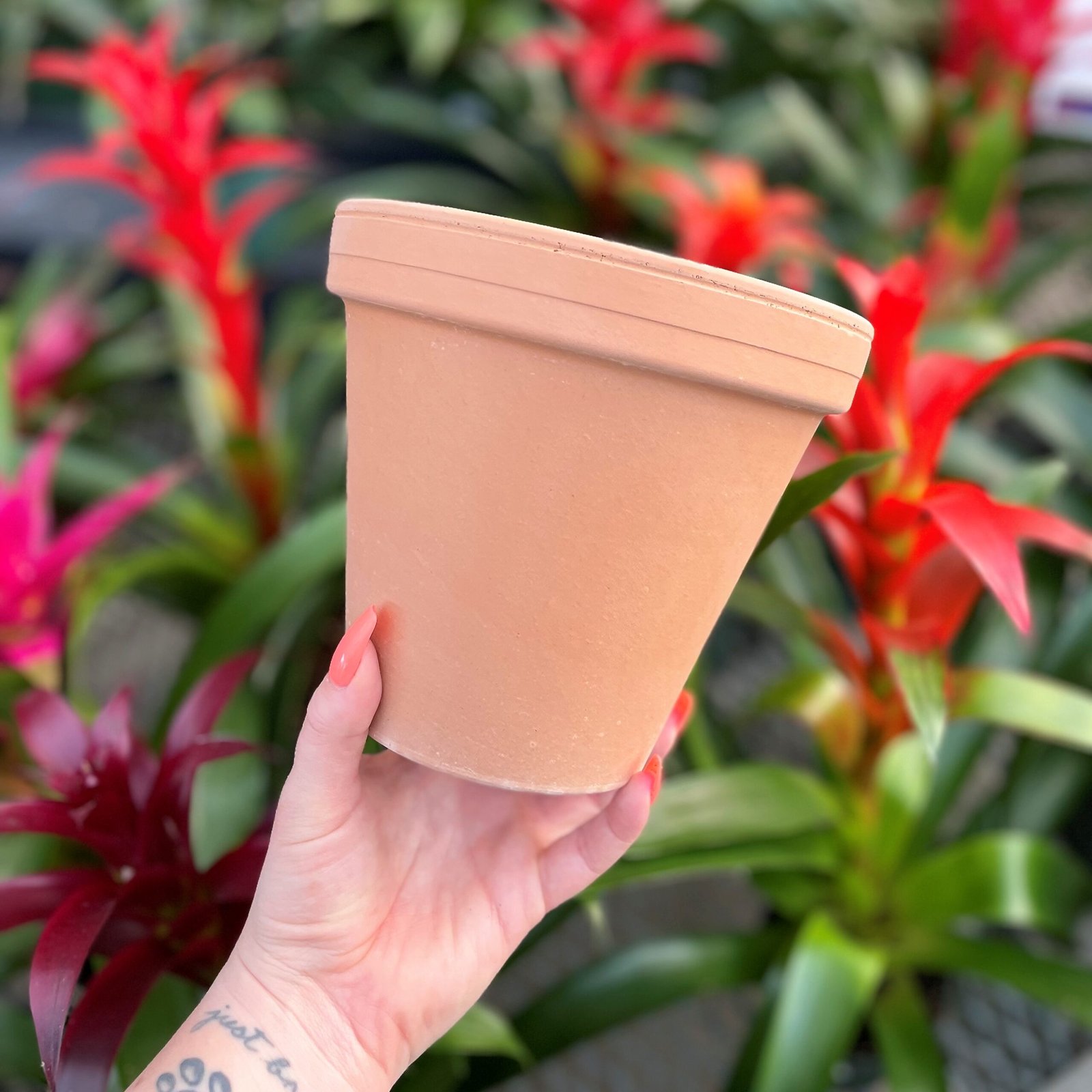Terracotta Pots without drainage 
