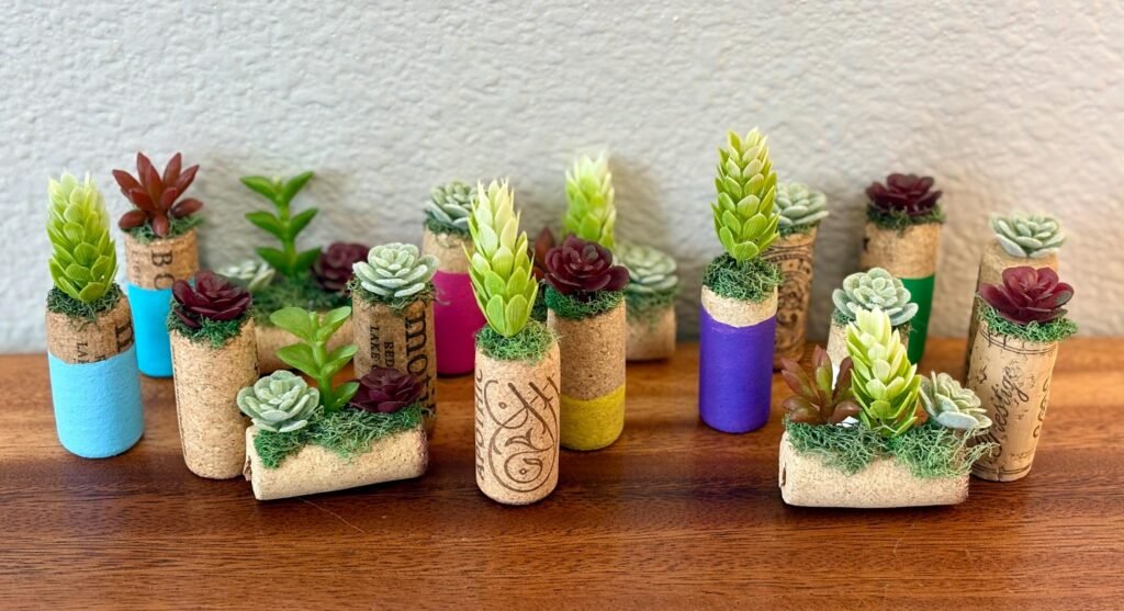 Succuelnts in Wine Corks