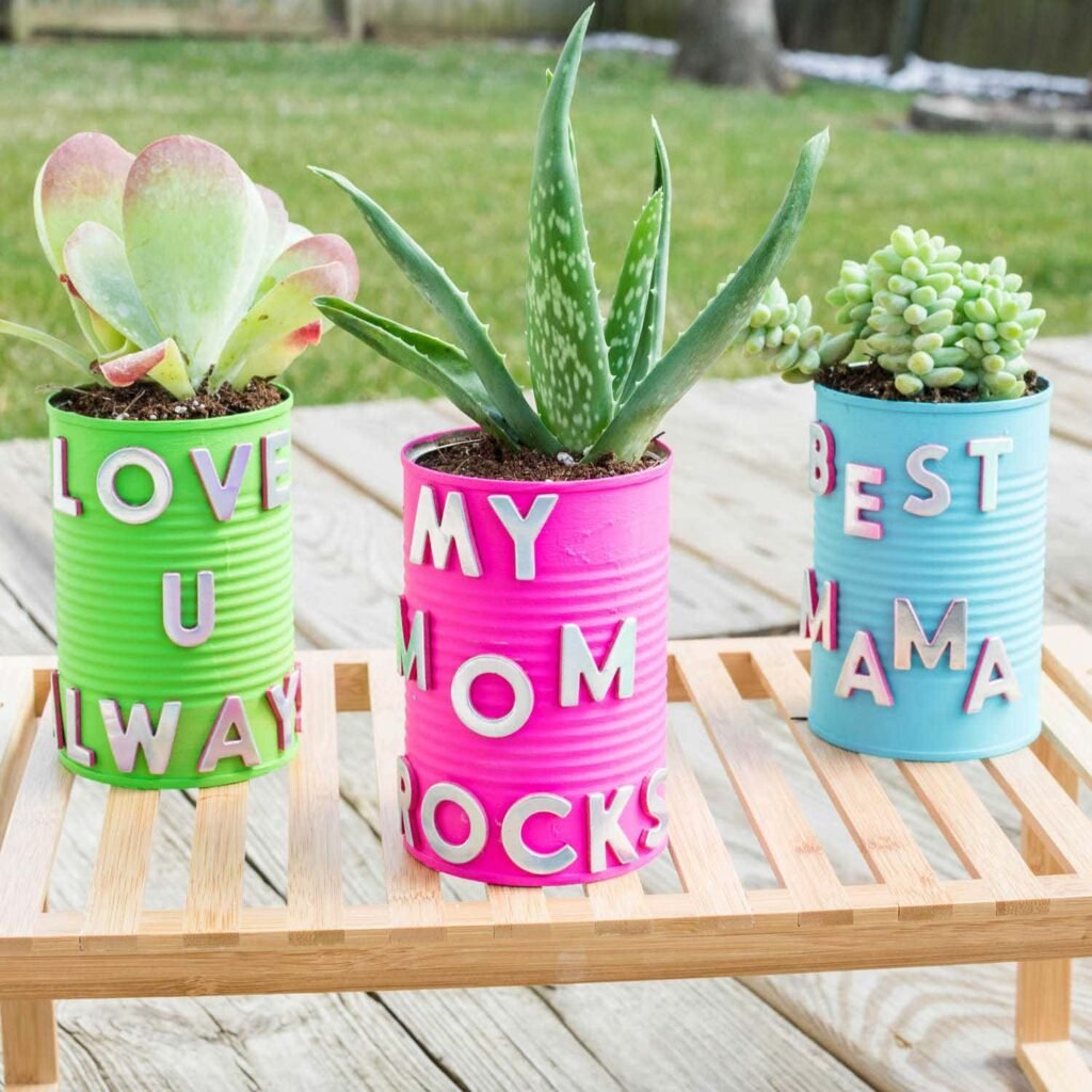 Succulents in Tin Cans