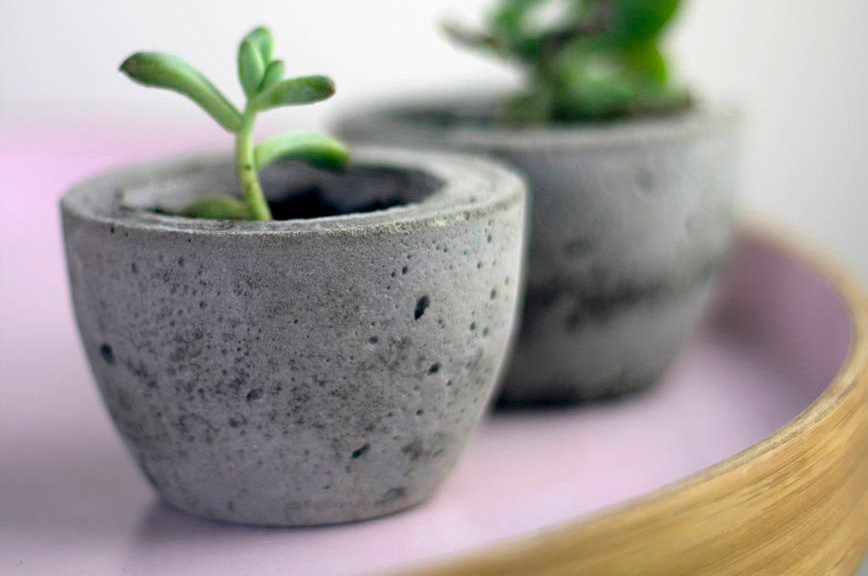 best pots for succulents