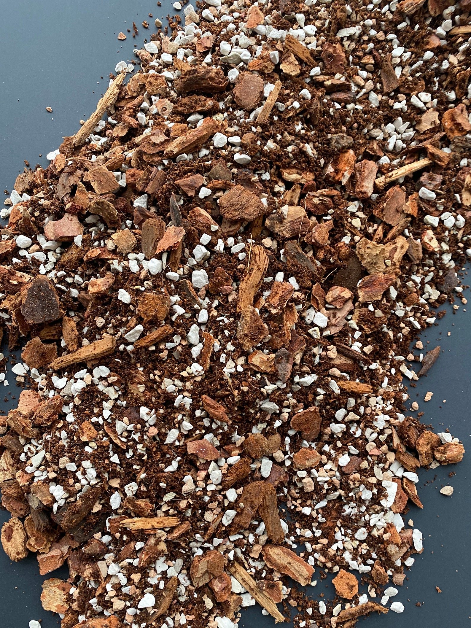 5 Best Succulent Soil Mix for Cactus and Succulents in 2025