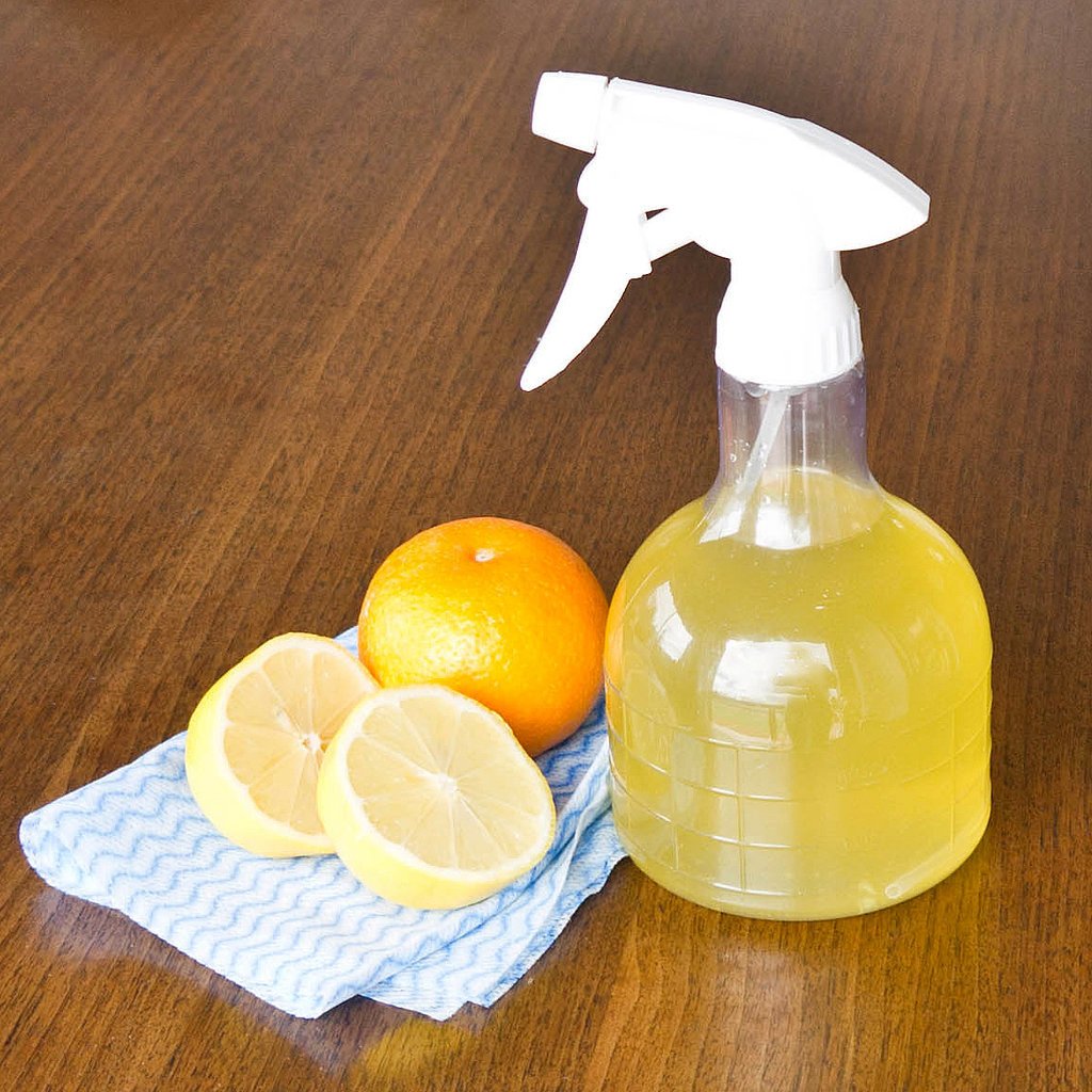 Citrus Sprays Natural Repellents for Pets Around Cacti