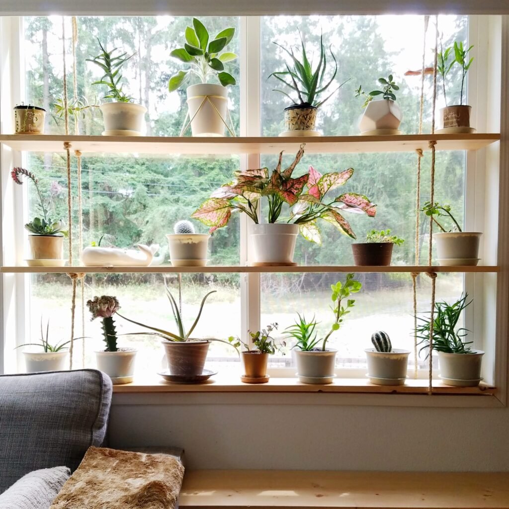 Floating shelves near windows