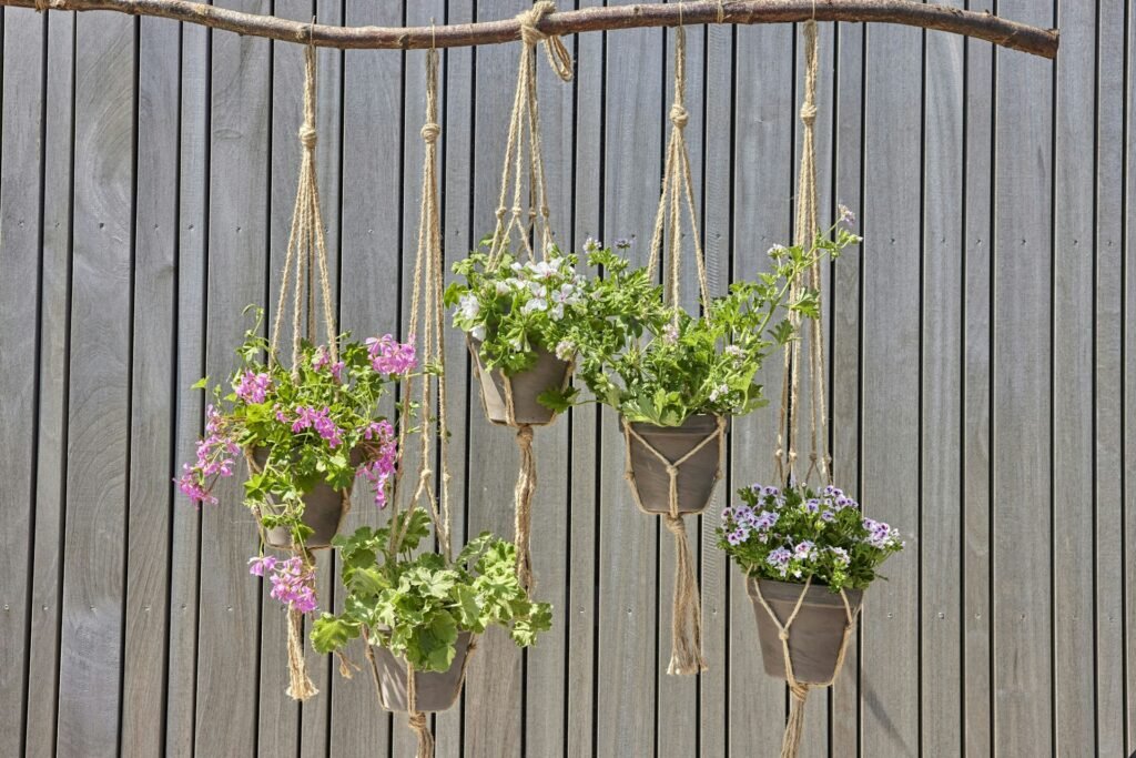 Hanging planters