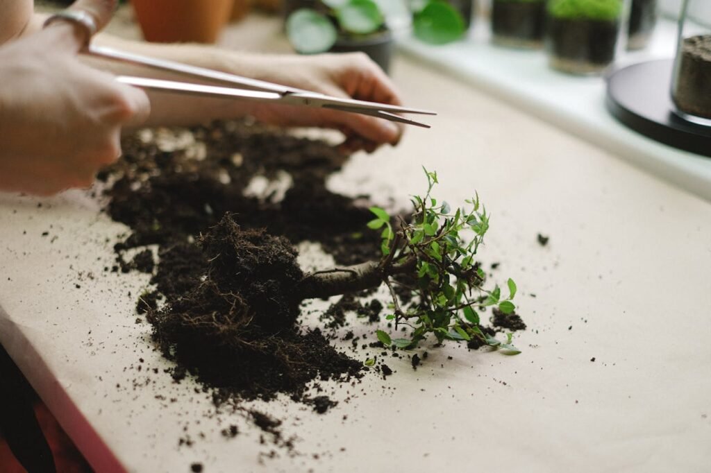 Propagation