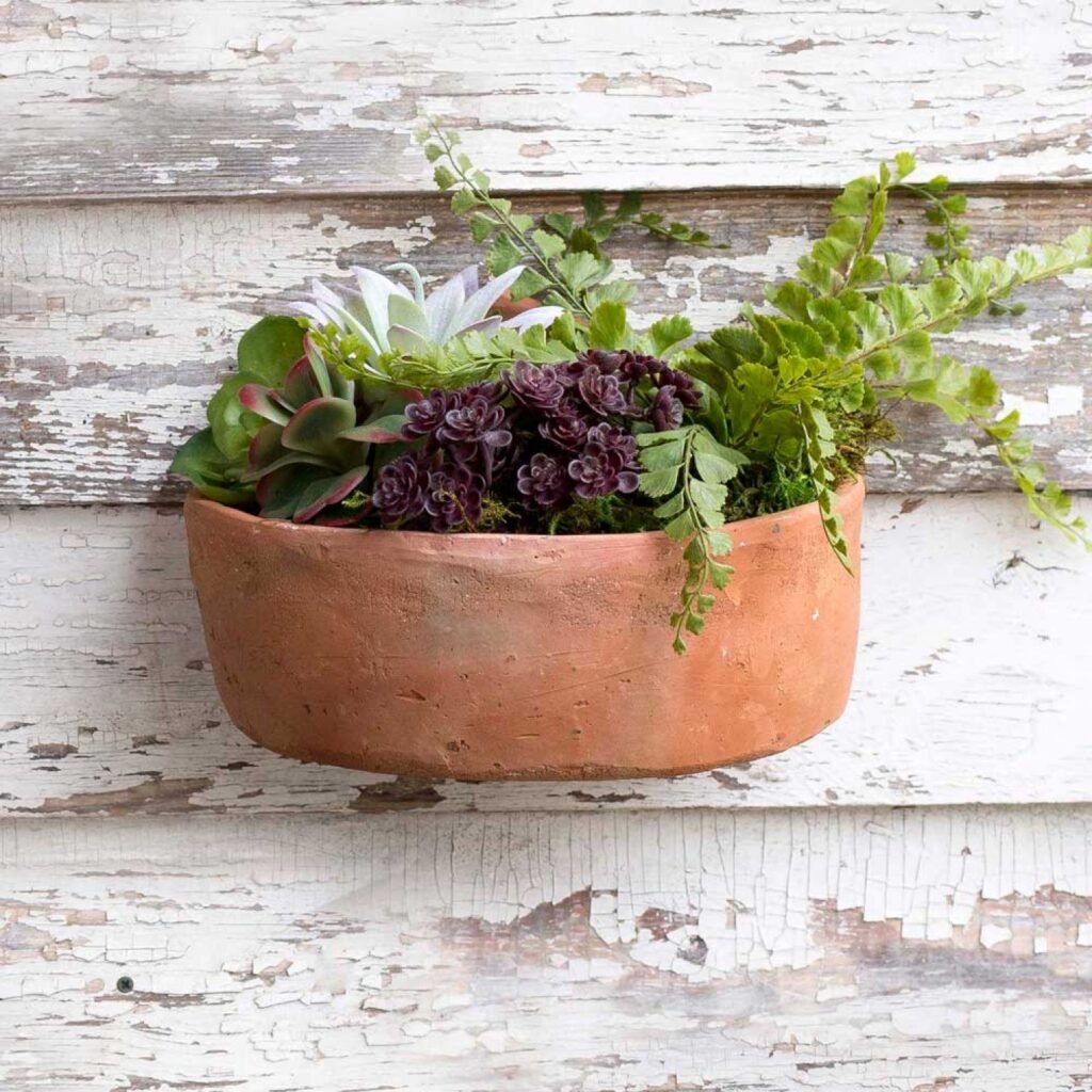 Clay or Terracotta Wall Planters