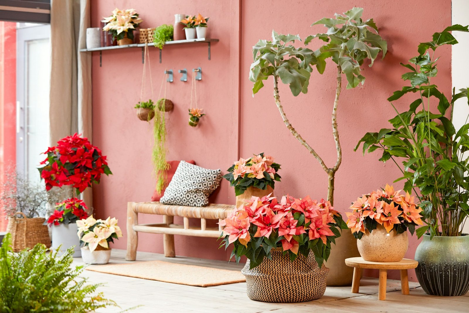 trendy succulent wall decor ideas