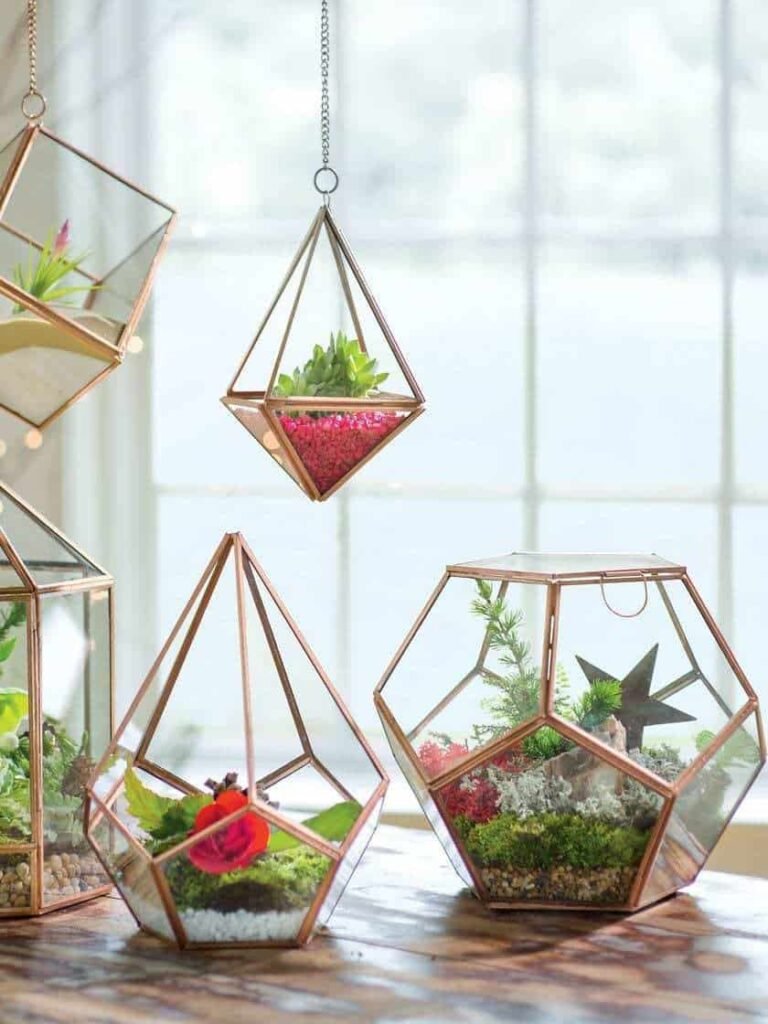 Hanging Glass Terrariums 