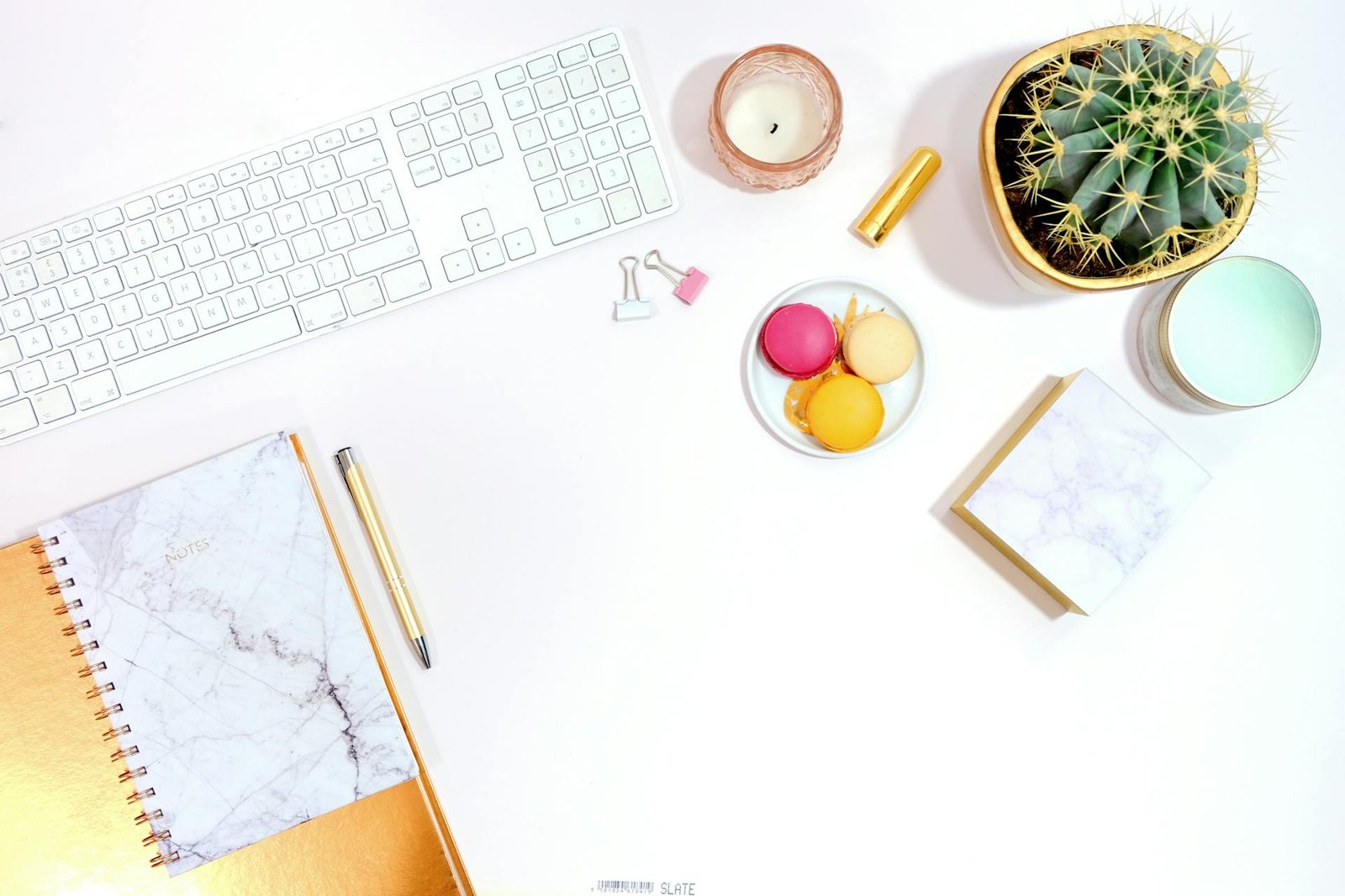 Low Maintenance Cactus for Workspaces