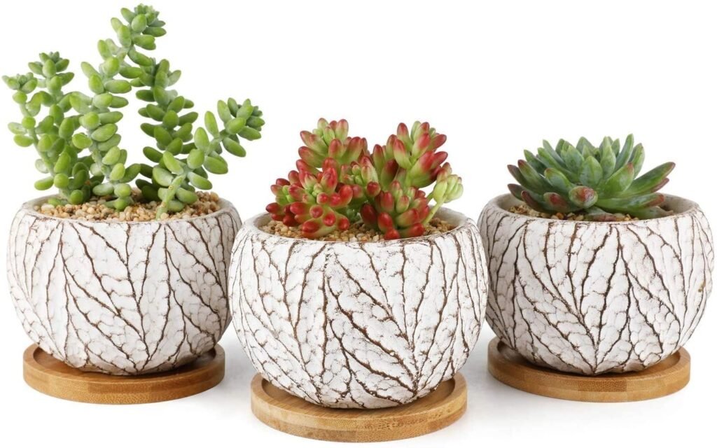Stylish Stone Pots For Succulents