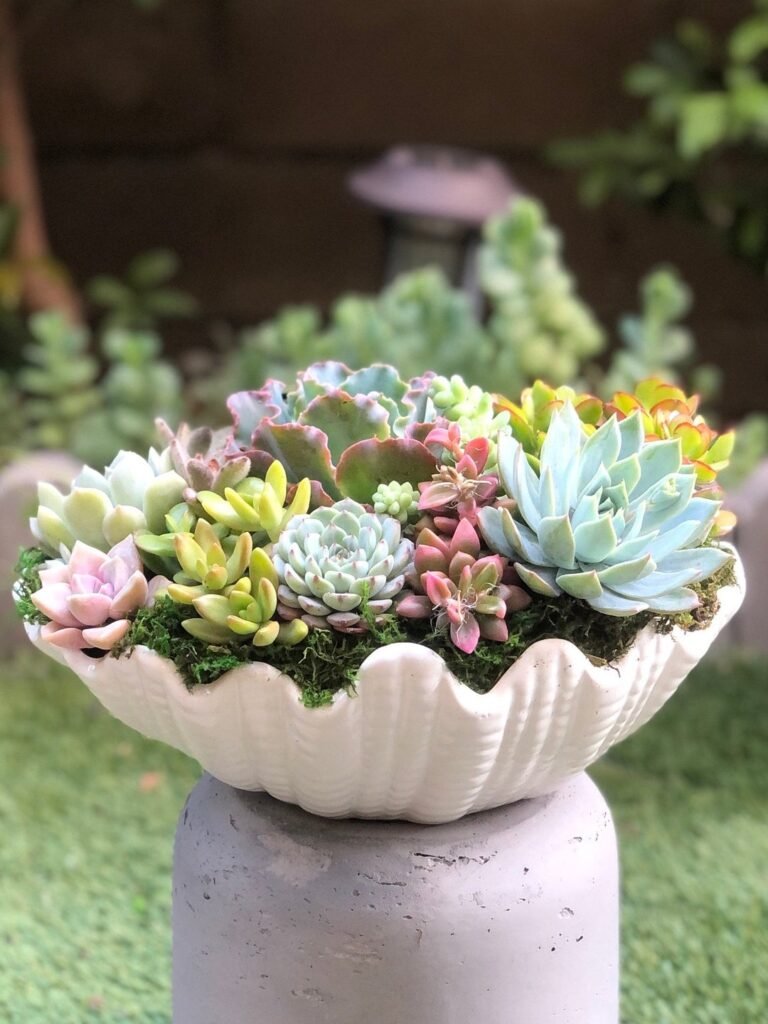 Stylish ceramic bowl for tabletop