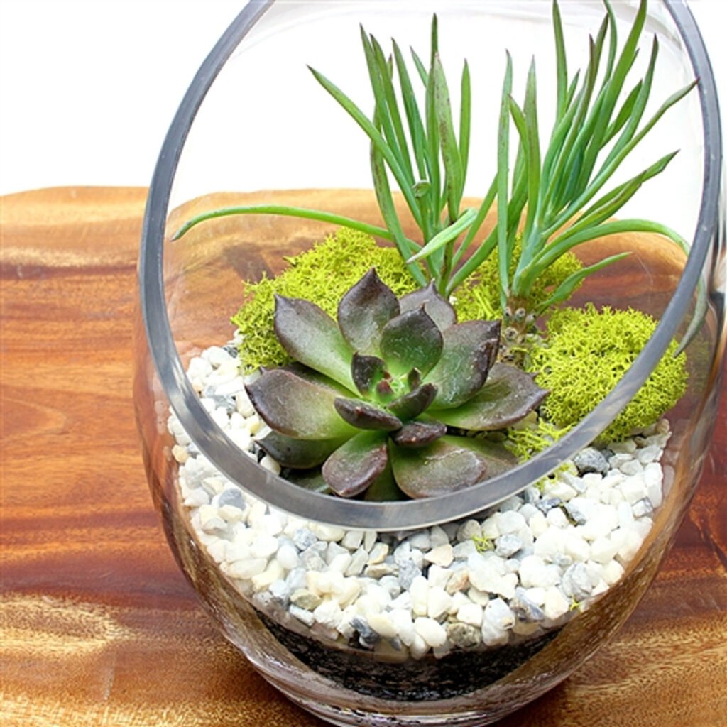 Zen-Style Arrangements